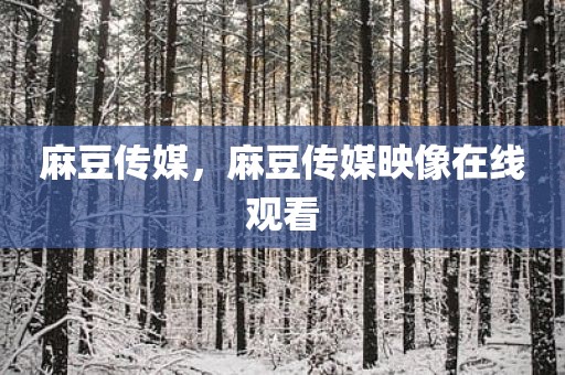 麻豆传媒，麻豆传媒映像在线观看