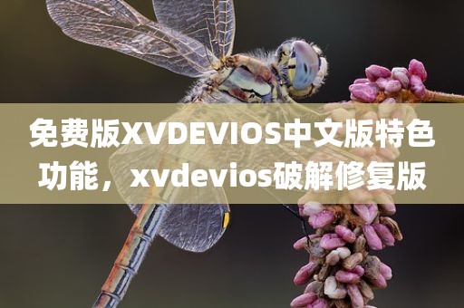 免费版XVDEVIOS中文版特色功能，xvdevios破解修复版