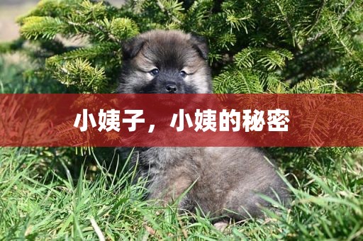 小姨子，小姨的秘密