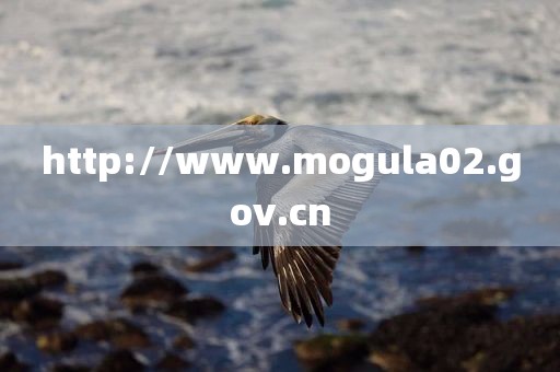 http://www.mogula02.gov.cn