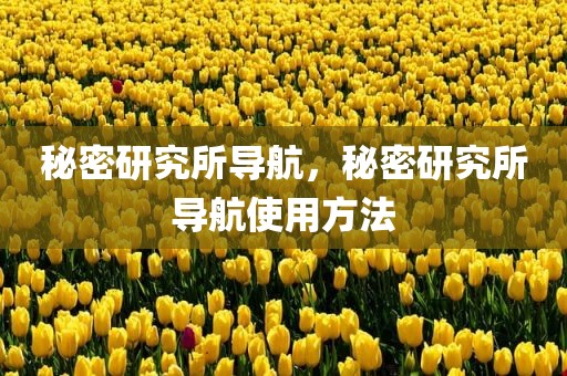 秘密研究所导航，秘密研究所导航使用方法