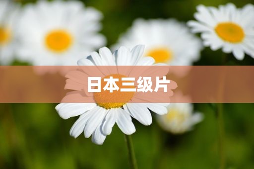 日本三级片