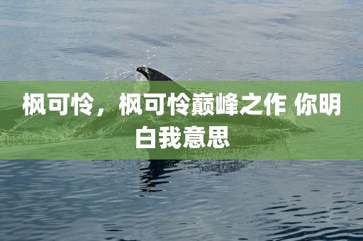 枫可怜，枫可怜巅峰之作 你明白我意思