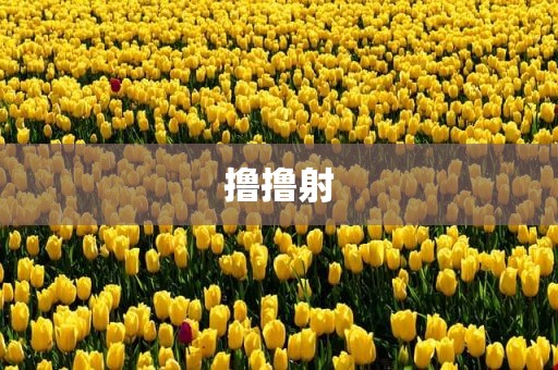 撸撸射