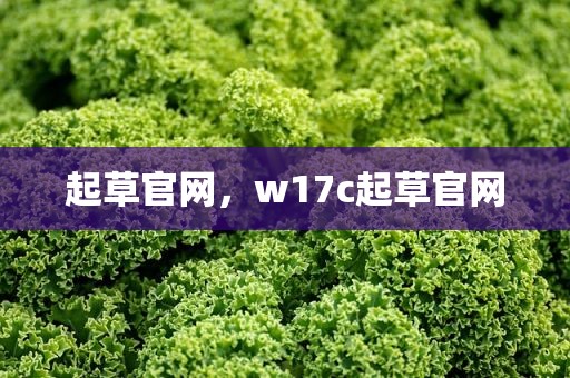 起草官网，w17c起草官网