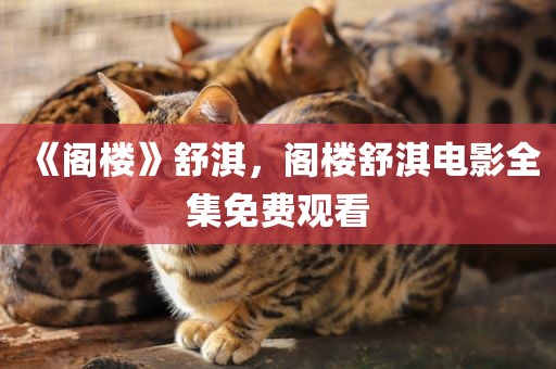 《阁楼》舒淇，阁楼舒淇电影全集免费观看