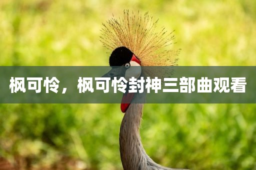 枫可怜，枫可怜封神三部曲观看