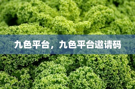九色平台，九色平台邀请码