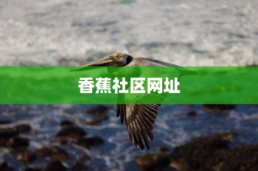 香蕉社区网址