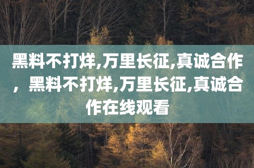 黑料不打烊,万里长征,真诚合作，黑料不打烊,万里长征,真诚合作在线观看