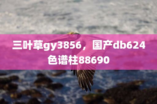 三叶草gy3856，国产db624色谱柱88690