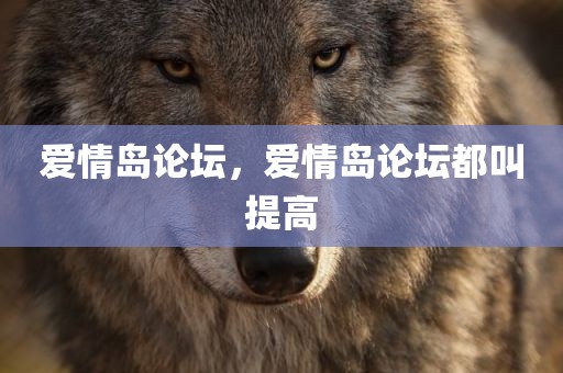 爱情岛论坛，爱情岛论坛都叫提高