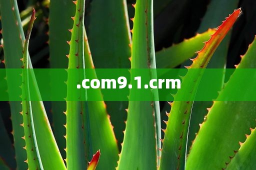 .com9.1.crm