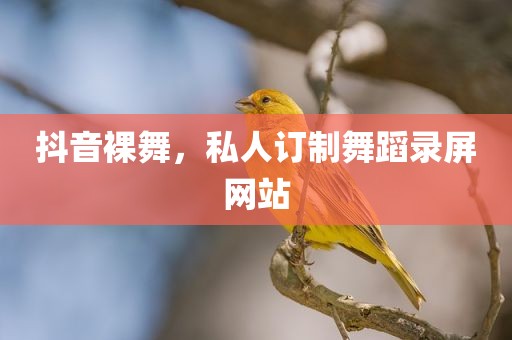 抖音裸舞，私人订制舞蹈录屏网站