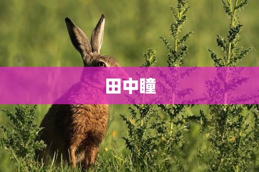 田中瞳