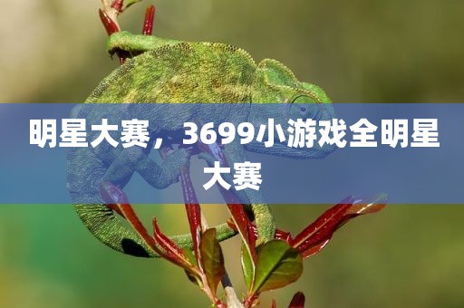 明星大赛，3699小游戏全明星大赛
