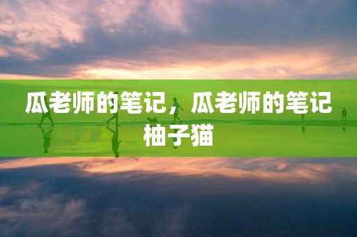 瓜老师的笔记，瓜老师的笔记柚子猫