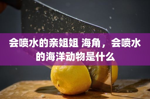 会喷水的亲姐姐 海角，会喷水的海洋动物是什么