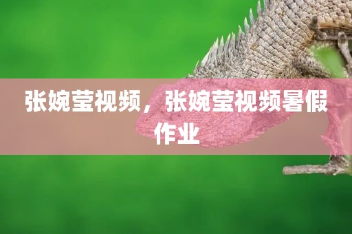 张婉莹视频，张婉莹视频暑假作业