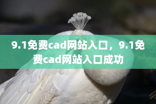 9.1免费cad网站入口，9.1免费cad网站入口成功