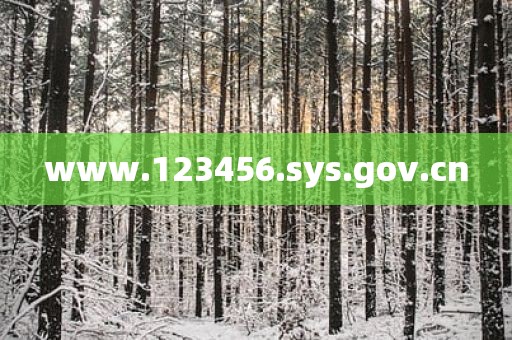 www.123456.sys.gov.cn