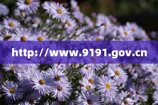 http://www.9191.gov.cn