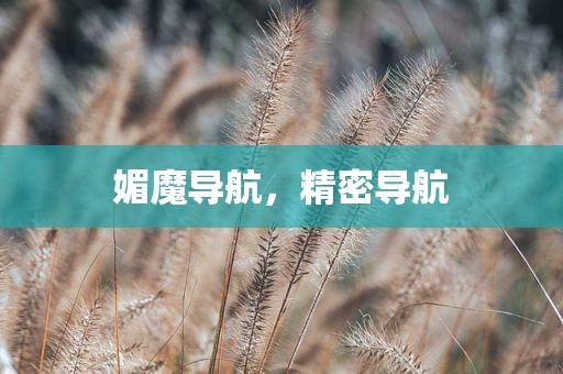 媚魔导航，精密导航