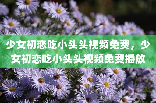 少女初恋吃小头头视频免费，少女初恋吃小头头视频免费播放
