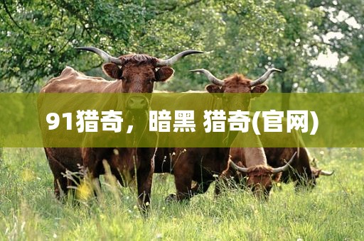 91猎奇，暗黑 猎奇(官网)