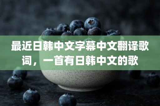 最近日韩中文字幕中文翻译歌词，一首有日韩中文的歌