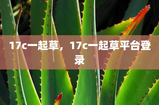 17c一起草，17c一起草平台登录