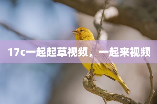 17c一起起草视频，一起来视频