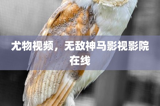 尤物视频，无敌神马影视影院在线