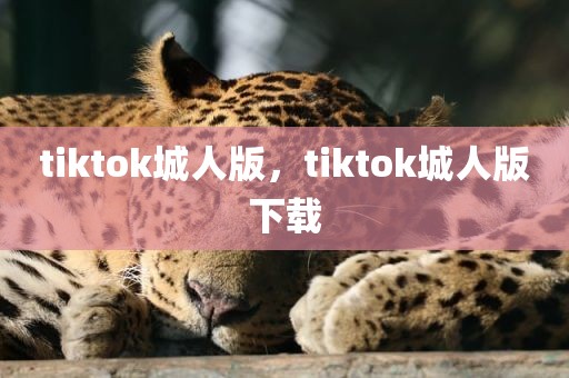 tiktok城人版，tiktok城人版下载