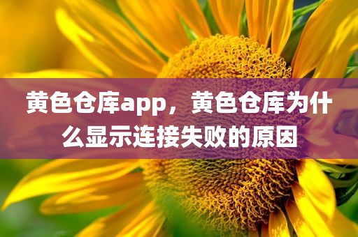 黄色仓库app，黄色仓库为什么显示连接失败的原因