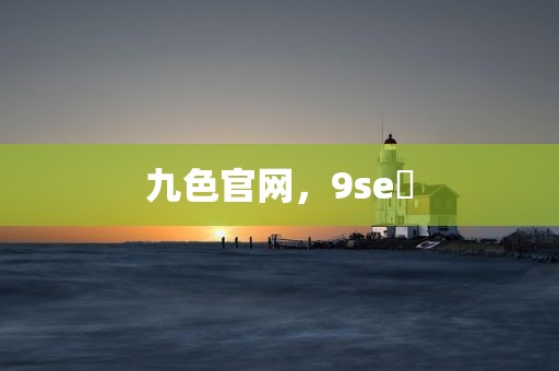 九色官网，9se 