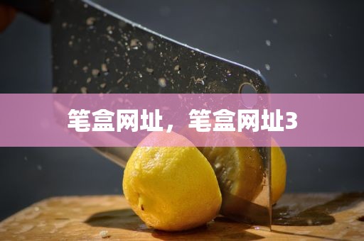 笔盒网址，笔盒网址3