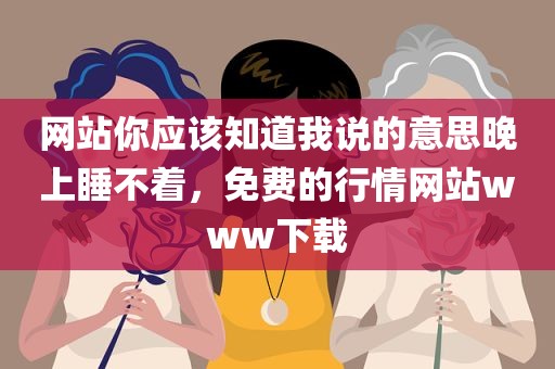 网站你应该知道我说的意思晚上睡不着，免费的行情网站www下载