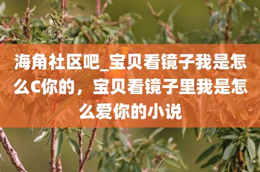 海角社区吧_宝贝看镜子我是怎么C你的，宝贝看镜子里我是怎么爱你的小说