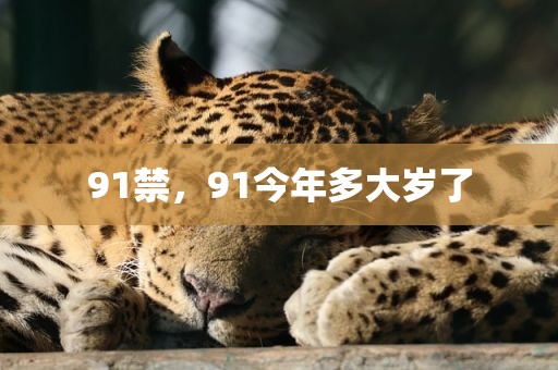 91禁，91今年多大岁了