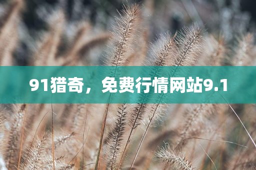 91猎奇，免费行情网站9.1