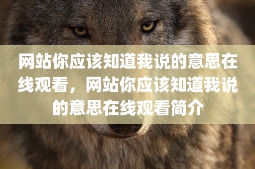 网站你应该知道我说的意思在线观看，网站你应该知道我说的意思在线观看简介