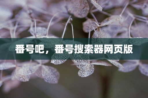 番号吧，番号搜索器网页版