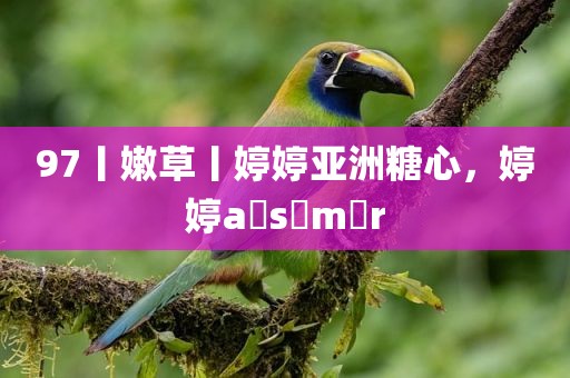 97丨嫩草丨婷婷亚洲糖心，婷婷a s m r