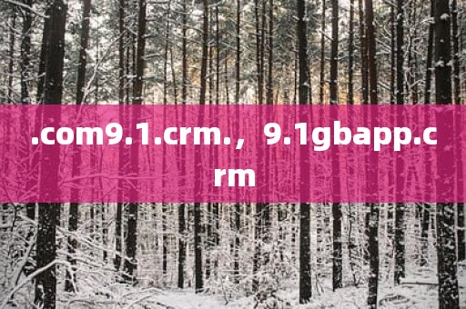 .com9.1.crm.，9.1gbapp.crm