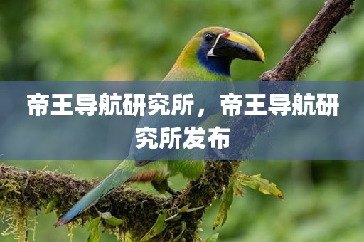 帝王导航研究所，帝王导航研究所发布