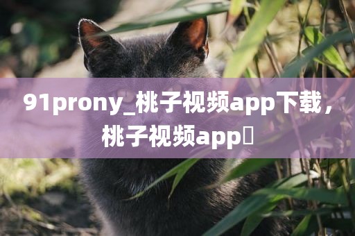 91prony_桃子视频app下载，桃子视频app 