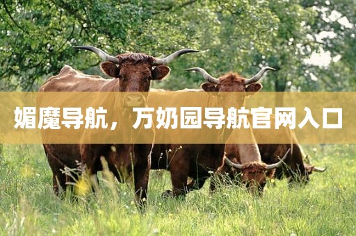 媚魔导航，万奶园导航官网入口