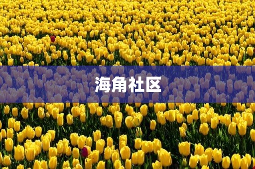 海角社区