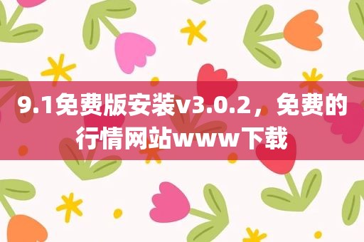 9.1免费版安装v3.0.2，免费的行情网站www下载